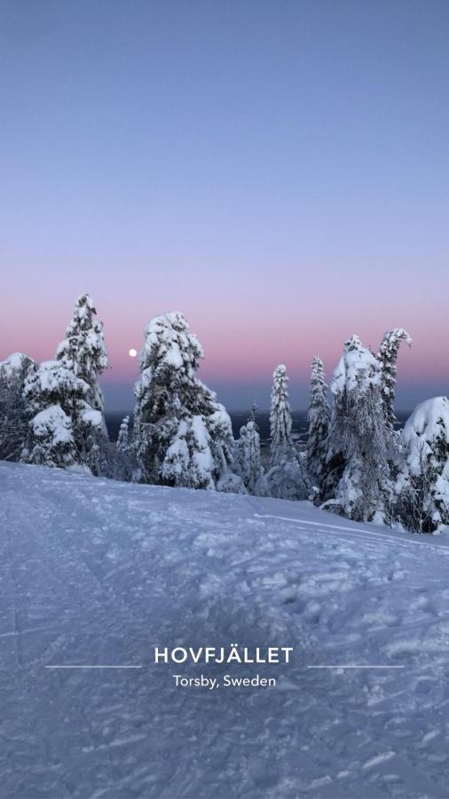 Villa Trevlig Naera Hovfjaellet Torsby