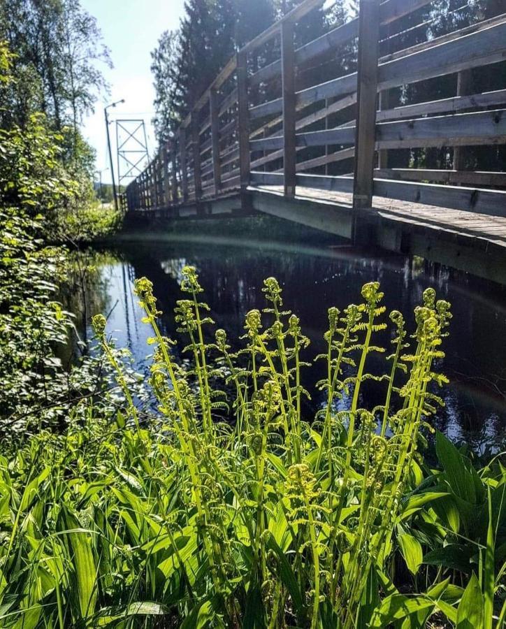 Trevlig Naera Hovfjaellet Torsby