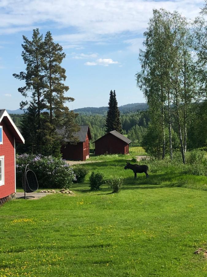 Trevlig Naera Hovfjaellet *